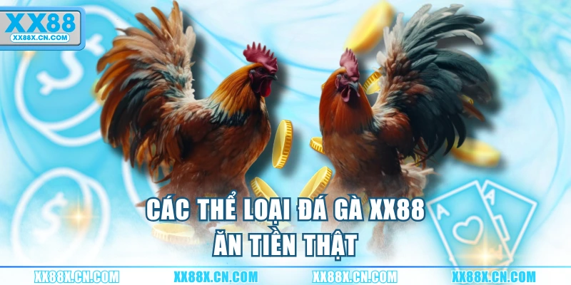 cac-the-loai-da-ga-xx88-an-tien-that