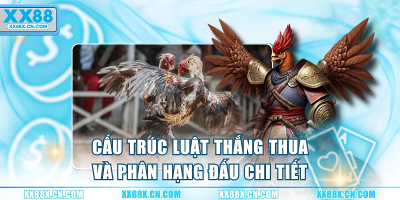 cau-truc-luat-thang-thua-va-phan-hang-dau-chi-tiet