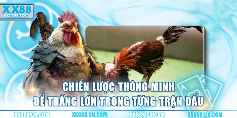 chien-luoc-thong-minh-de-thang-lon-trong-tung-tran-dau