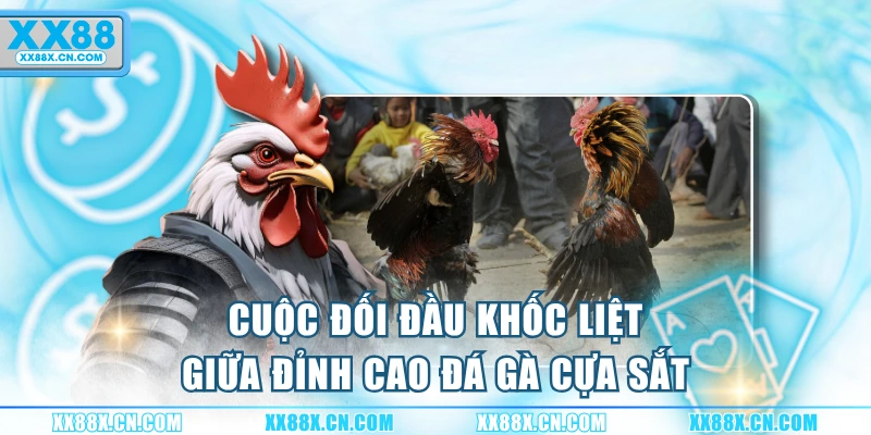 cuoc-doi-dau-khoc-liet-giua-dinh-cao-da-ga-cua-sat