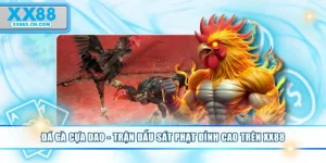 da-ga-cua-dao-tran-dau-sat-phat-dinh-cao-tren-xx88