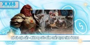 da-ga-cua-sat-man-do-suc-dam-chat-kich-tinh-o-xx88