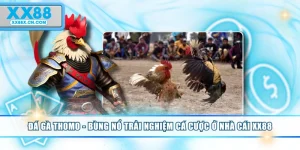 da-ga-thomo-bung-no-trai-nghiem-ca-cuoc-o-nha-cai-xx88