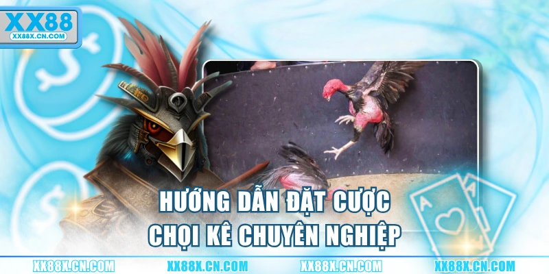 huong-dan-dat-cuoc-choi-ke-chuyen-nghiep