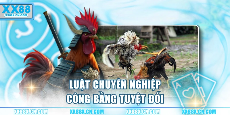 luat-chuyen-nghiep-cong-bang-tuyet-doi