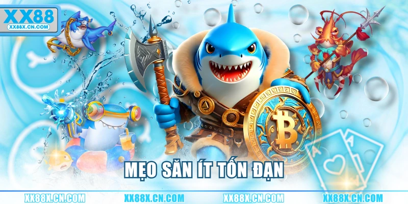 meo-san-it-ton-dan