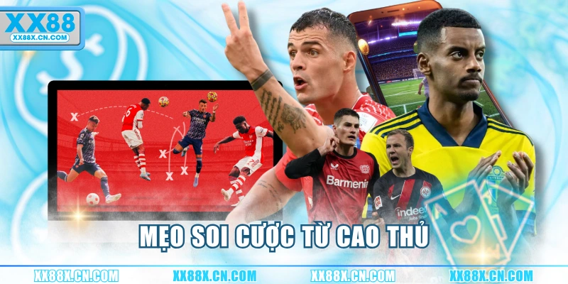 meo-soi-cuoc-tu-cao-thu