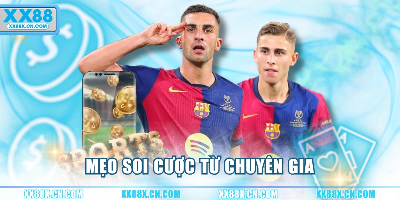meo-soi-cuoc-tu-chuyen-gia