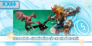 sv388-da-ga-san-dau-dang-cap-cho-tin-do-ke-chien