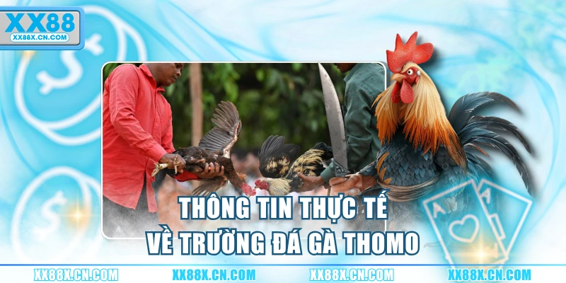 thong-tin-thuc-te-ve-truong-da-ga-thomo