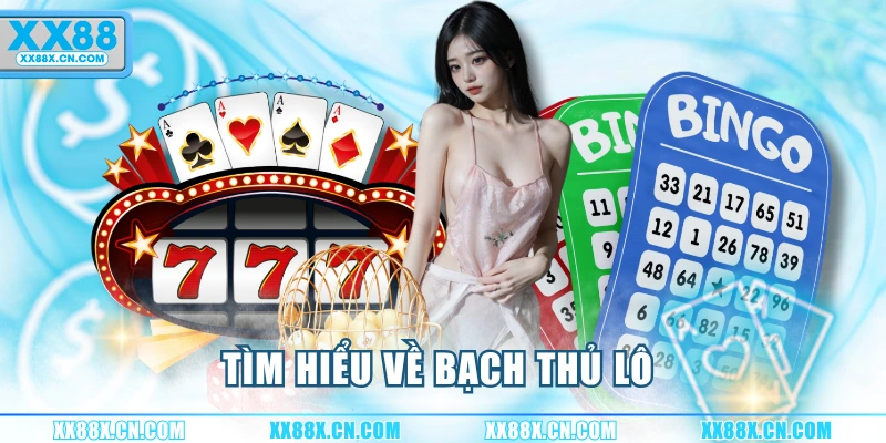 tim-hieu-ve-bach-thu-lo