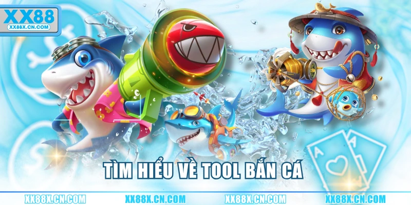tim-hieu-ve-tool-ban-ca