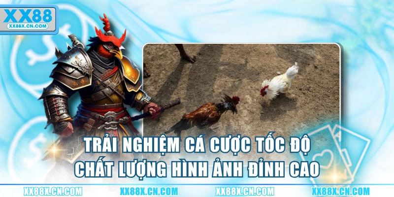 trai-nghiem-ca-cuoc-toc-do-chat-luong-hinh-anh-dinh-cao