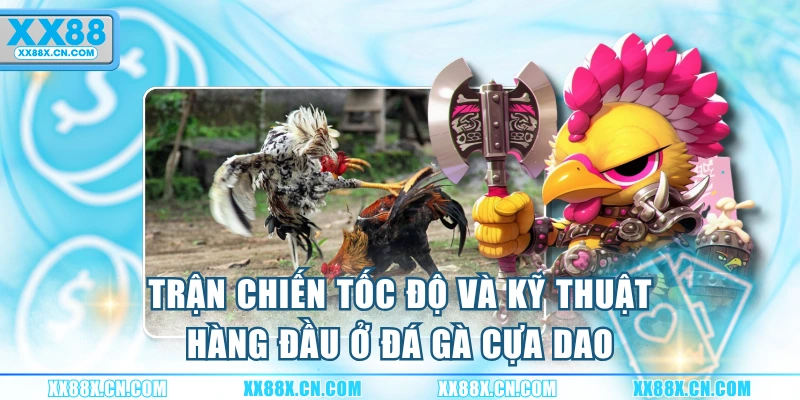 tran-chien-toc-do-va-ky-thuat-hang-dau-o-da-ga-cua-dao